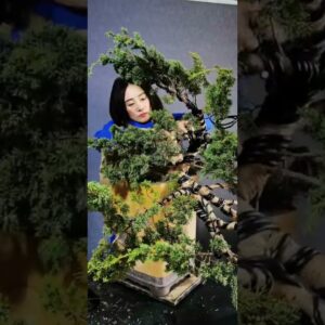 Artistic bonsai pruning techniques! #18 #lovebonsai #bonsai #bonsaiart #bonsaitree