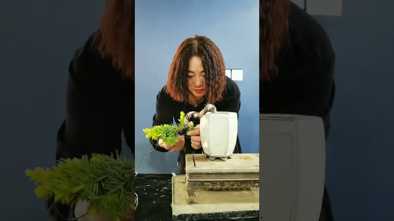 Artistic bonsai pruning techniques! #19 #lovebonsai #bonsai #bonsaiart #bonsaitree