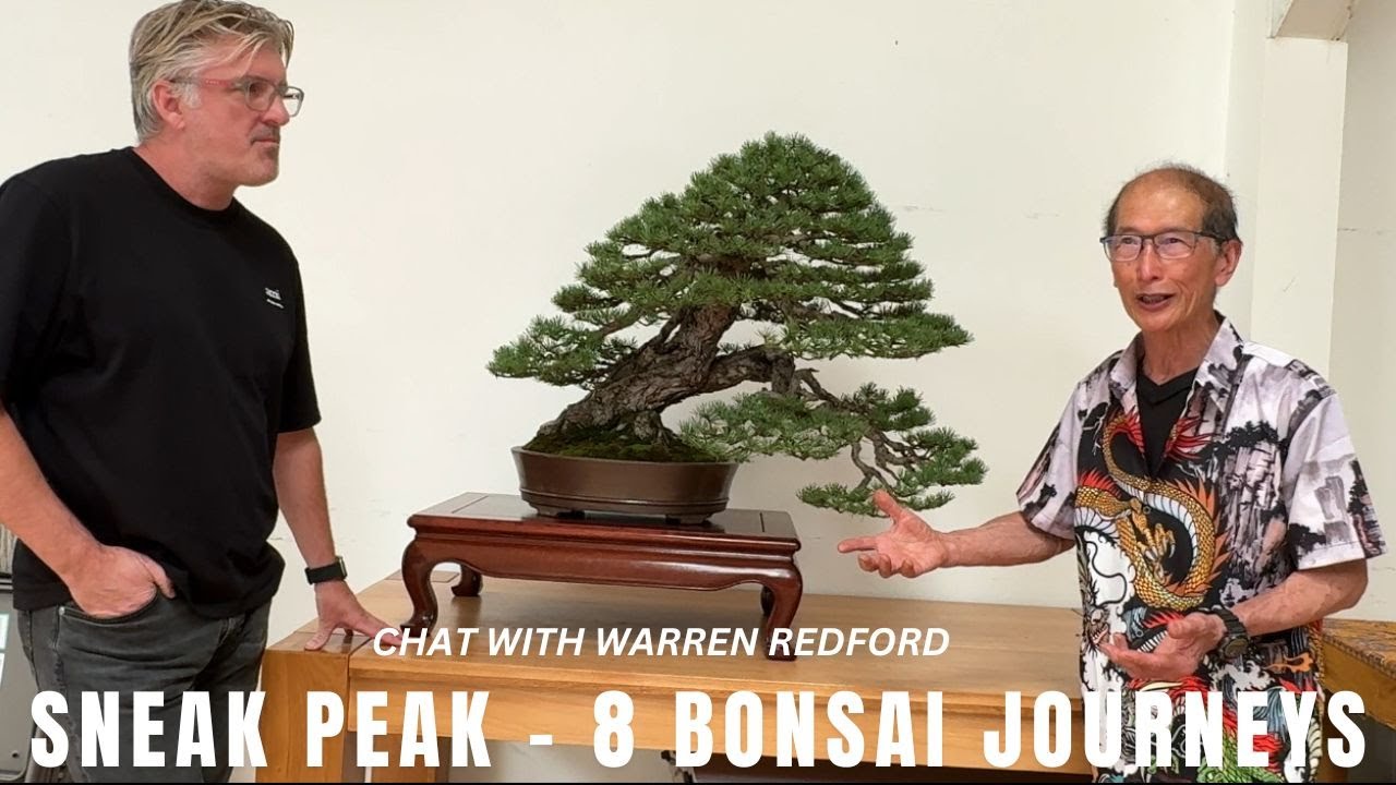 Sneak Peak - 8 Bonsai Journeys