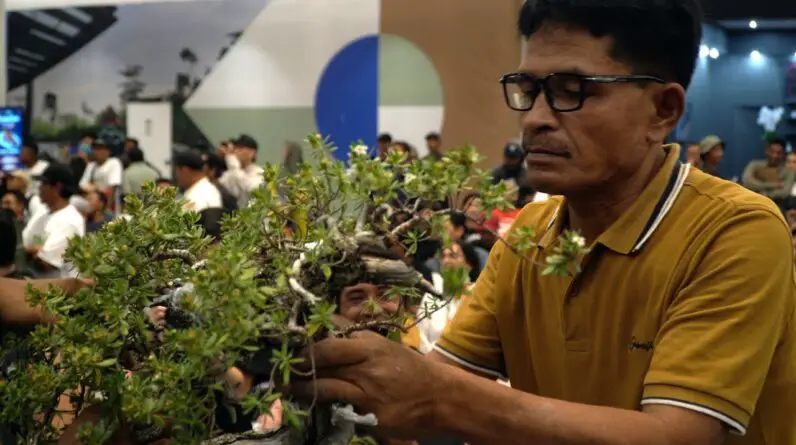 Yayat Hidayat Bonsai demo