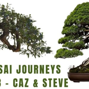 8 Bonsai Journeys - Part 3 - Caz and Steve