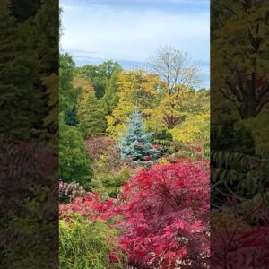 Beautiful Autumn Colours @RHS Harlow Carr