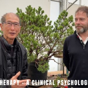 Bonsai as therapy - a clinical psychologist's view