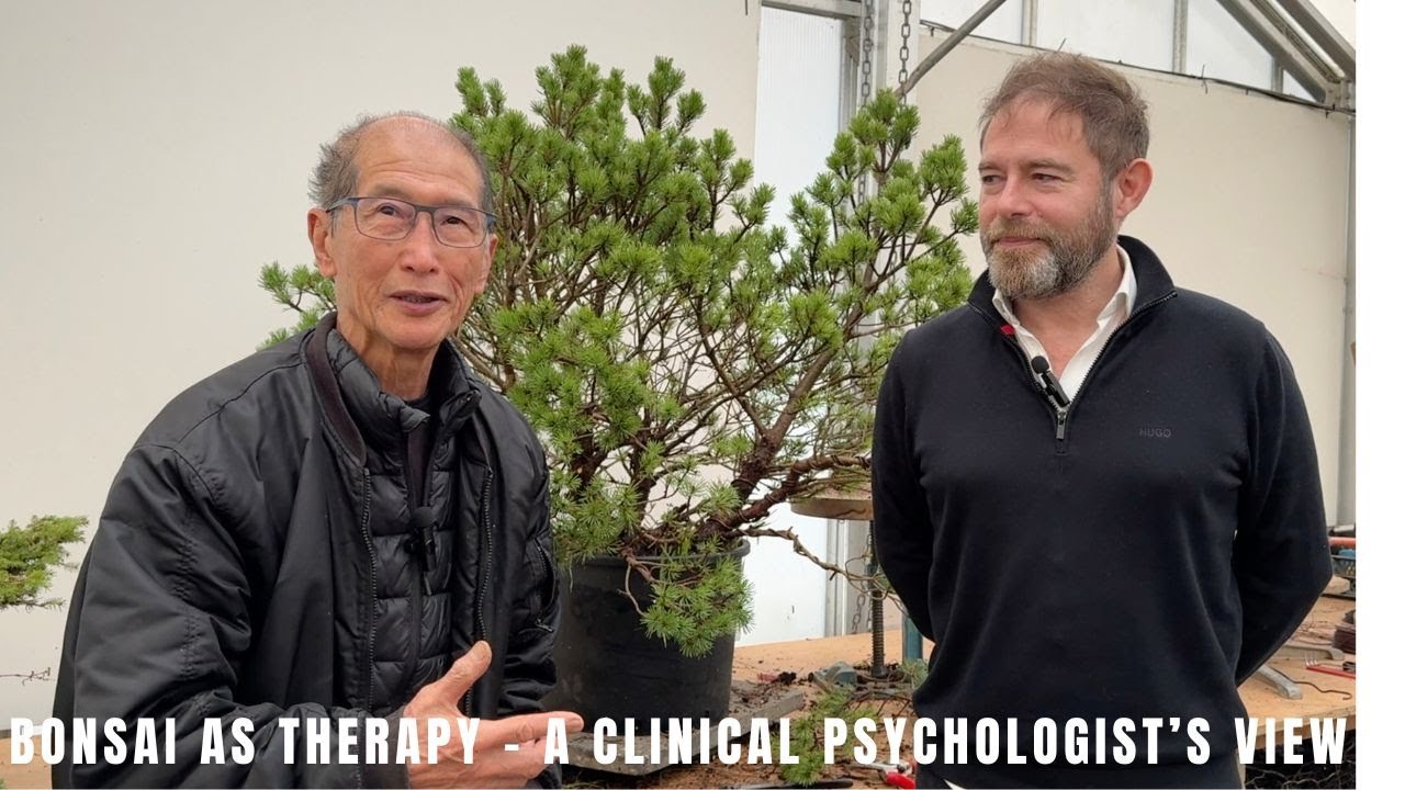 Bonsai as therapy - a clinical psychologist's view