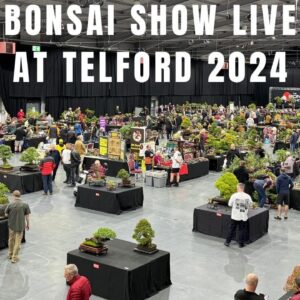 Bonsai Show Live at Telford 2024