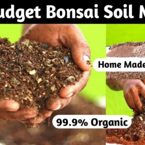 Bonsai Soil Making At Home | Best Budget Bonsai Soil