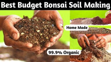 Bonsai Soil Making At Home | Best Budget Bonsai Soil