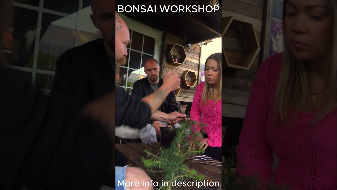 Bonsai Workshops Available  #bonsai