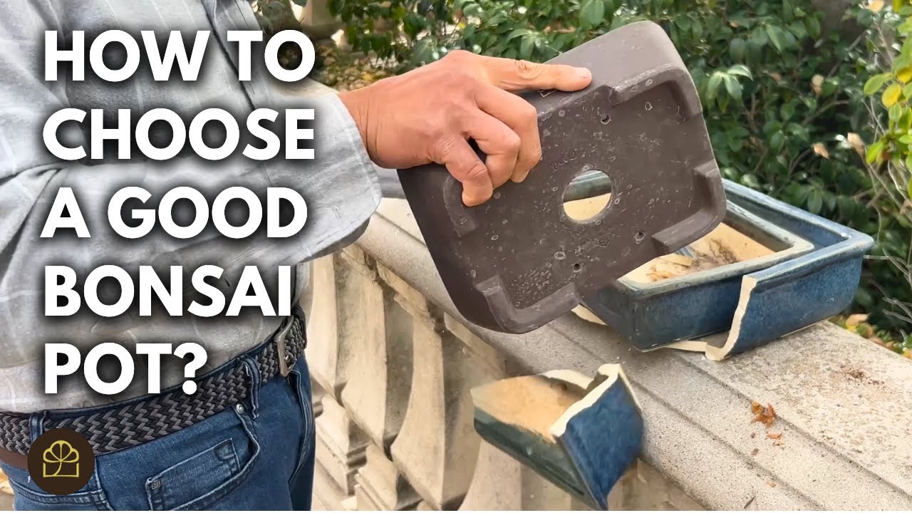 Good vs. Bad Bonsai Pot: Let's Break Some Pots! | Q&A