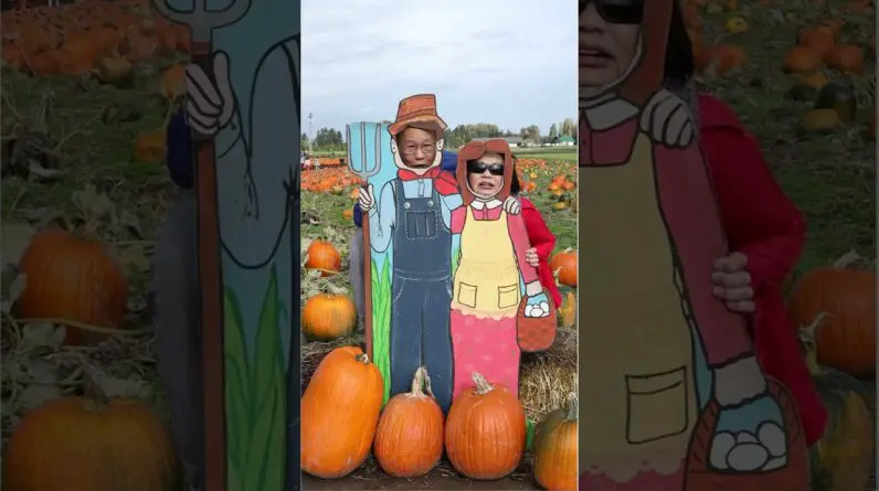 Robert and Lily visits a #pumpkin patch to get in the #Halloween spirit! #pumpkinpatch #bonsai