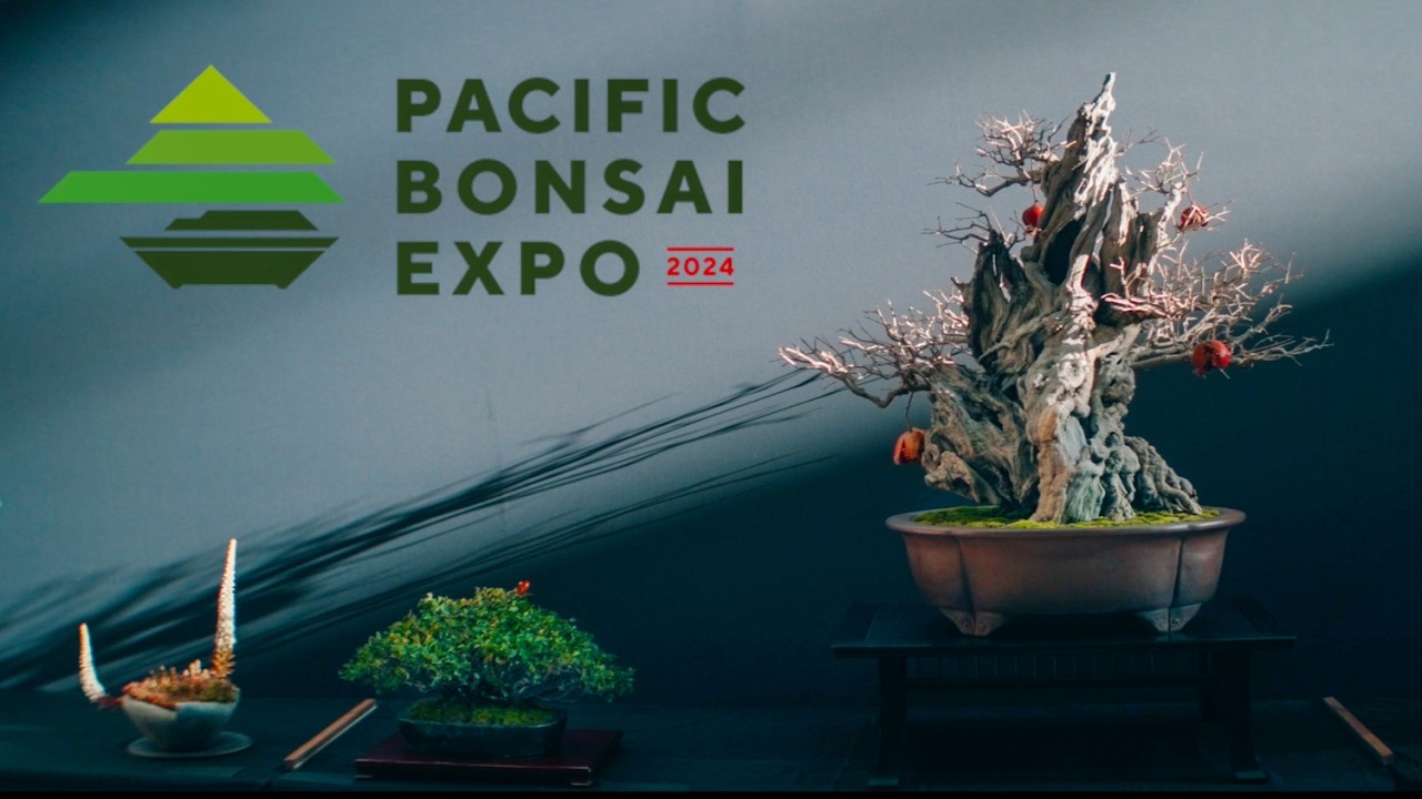 Pacific Bonsai Expo 2024