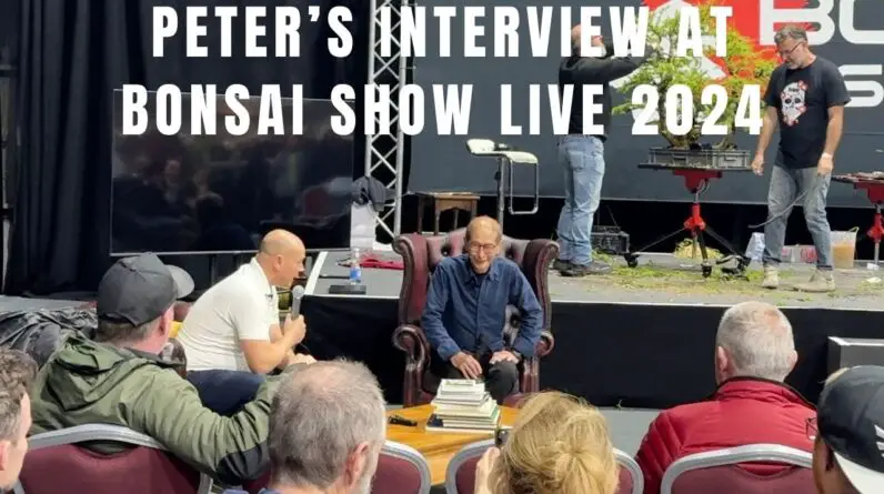 Peter's interview at the Bonsai Show Live 2024