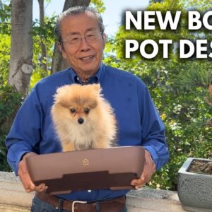 Reinventing the Ancient Art of Bonsai: My Bonsai Pot Invention!