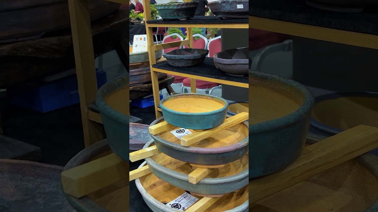 The Bonsai Show LIVE 2024: Bonsai Pots