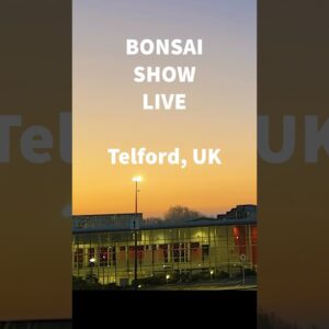 The Bonsai Show LIVE @ Telford, UK