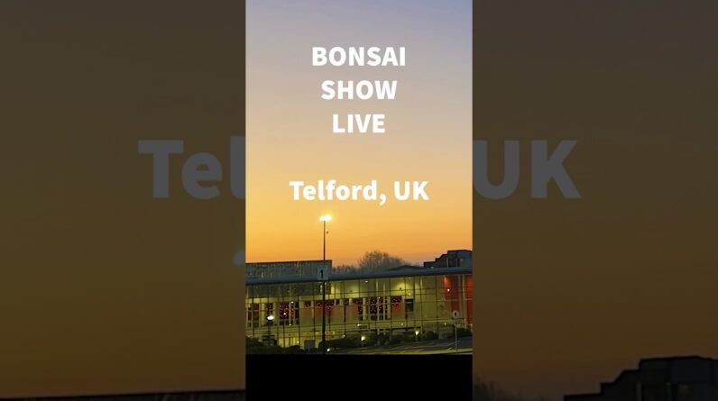 The Bonsai Show LIVE @ Telford, UK