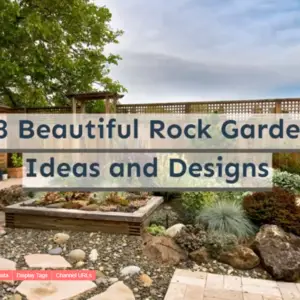 28 Beautiful Rock Garden Ideas and Designs