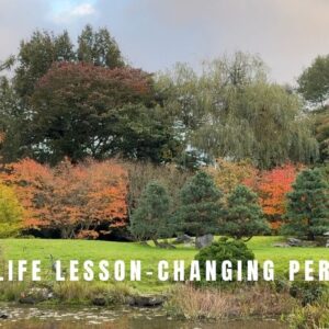 Bonsai life lesson- changing perspective