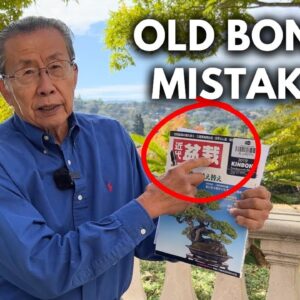 Correcting a 500 Year Old Mistake in Bonsai | Q&A