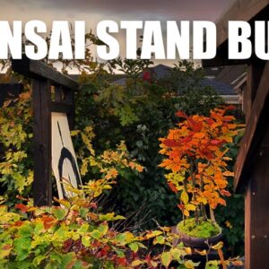 How To Build a Bonsai Bench/Stand