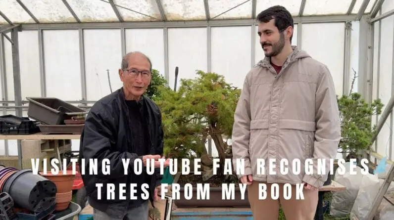 Visiting Youtube fan recognises trees from my book