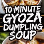 Gyoza Dumplings